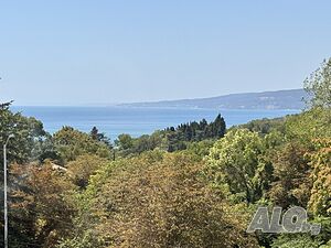 image_29