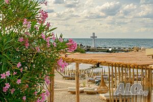 image_38