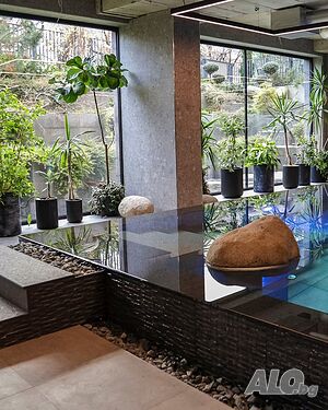 image_41