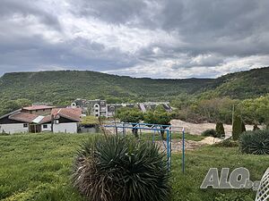 image_11
