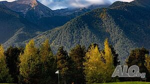 image_33