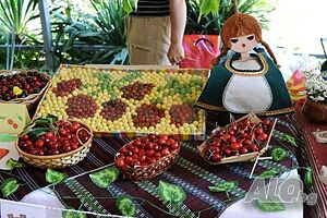 Легло в стая Празник на Черешата в гр. Кюстендил