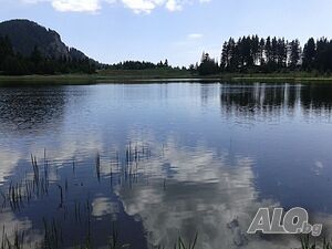 image_24