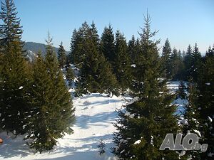 image_29