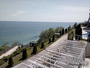 image_19