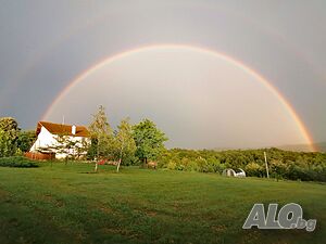image_21