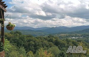 image_22