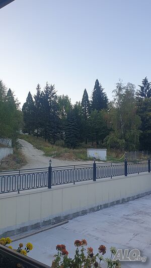 image_22