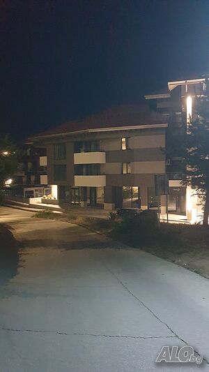 image_41