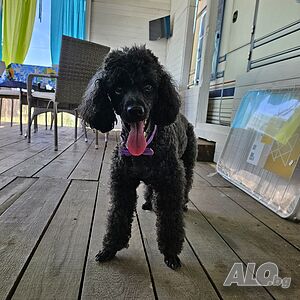 image_7