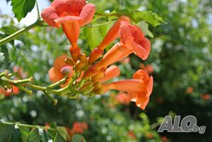 image_47