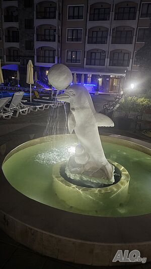 image_24
