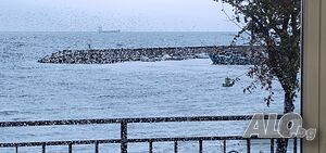 image_11