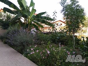 image_31