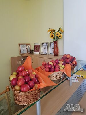 image_7