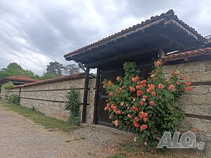 image_11