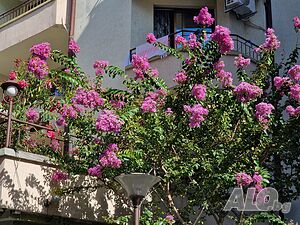 image_17
