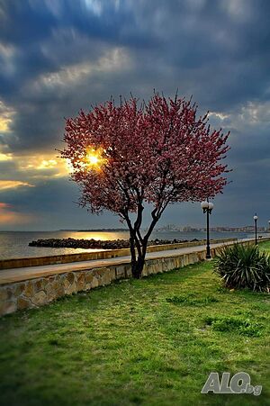 image_8