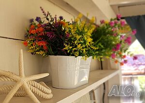 image_12