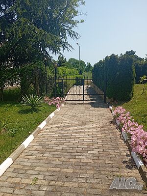 image_10