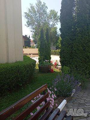 image_12