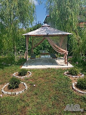 image_34