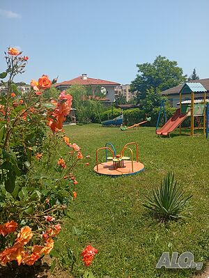 image_37