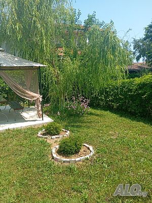 image_43