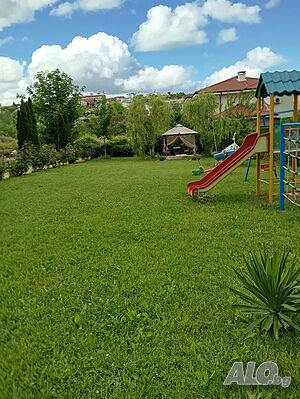 image_7