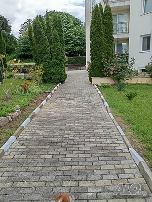image_8