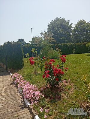 image_30