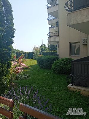 image_41
