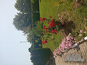 image_44