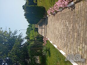 image_46
