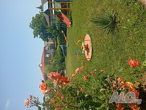 image_48