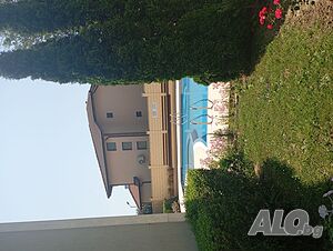 image_50