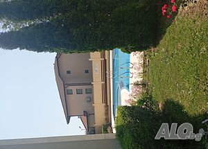 image_53