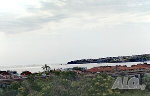 image_15