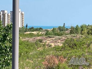 image_21