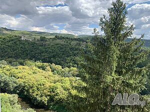 image_14