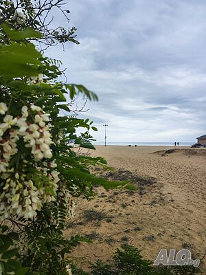 image_17