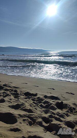 image_12