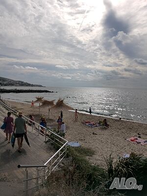 image_16