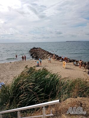 image_19
