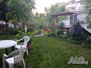 image_11