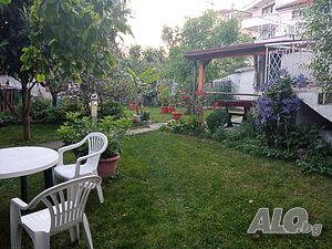 image_29