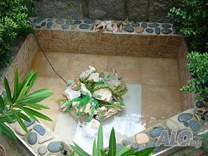 image_31