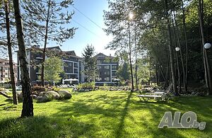 image_25
