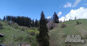 image_11