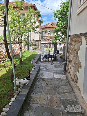 image_10